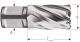 HSS kernboor SILVER-LINE 30mm (WLD)
